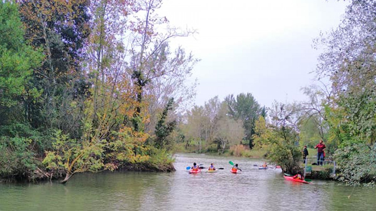Montpellier 3M CanoëKayak UC à Montpellier Sports nautiques